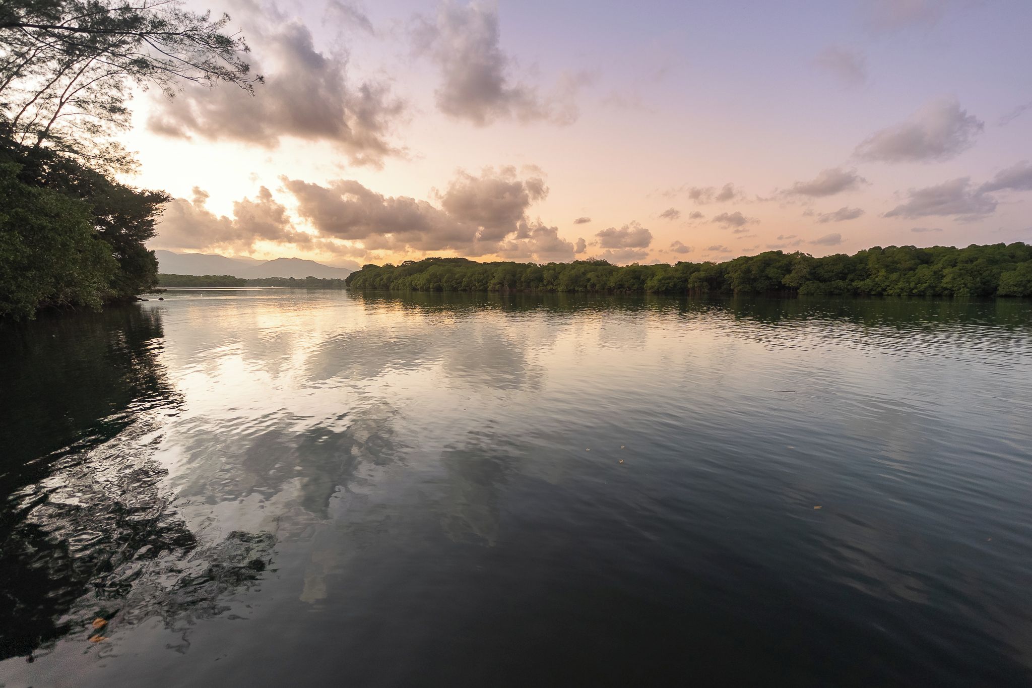 Un río tranquilo con árboles en sus orillas y un cielo nublado.