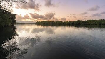 Un río tranquilo con árboles en sus orillas y un cielo nublado.