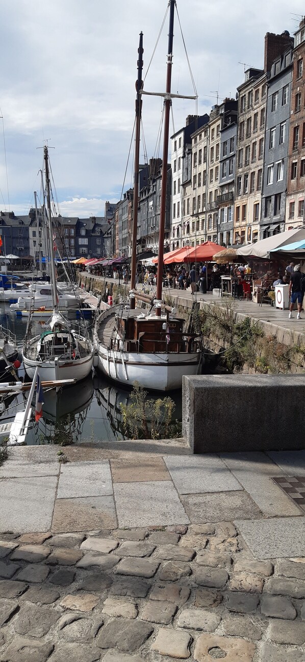 Marina - Independent in its garden in the Pays d'Auge 15 minutes from the beaches of Deauville (Saint-Philbert-des-Champs)