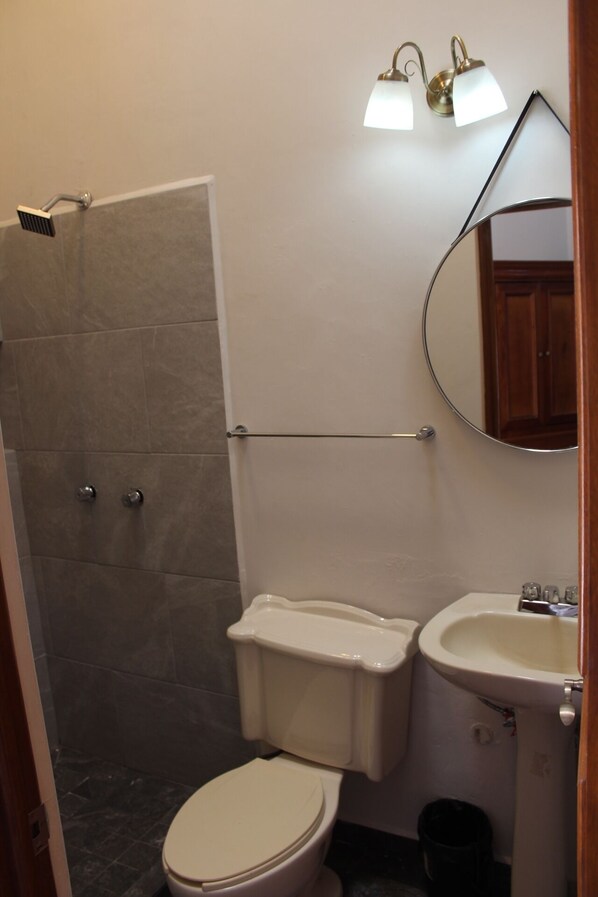 Un bagno completo di doccia, WC, lavandino e specchio.
