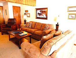 Televisión 20 pulgadas con canales de televisión por cable, chimenea