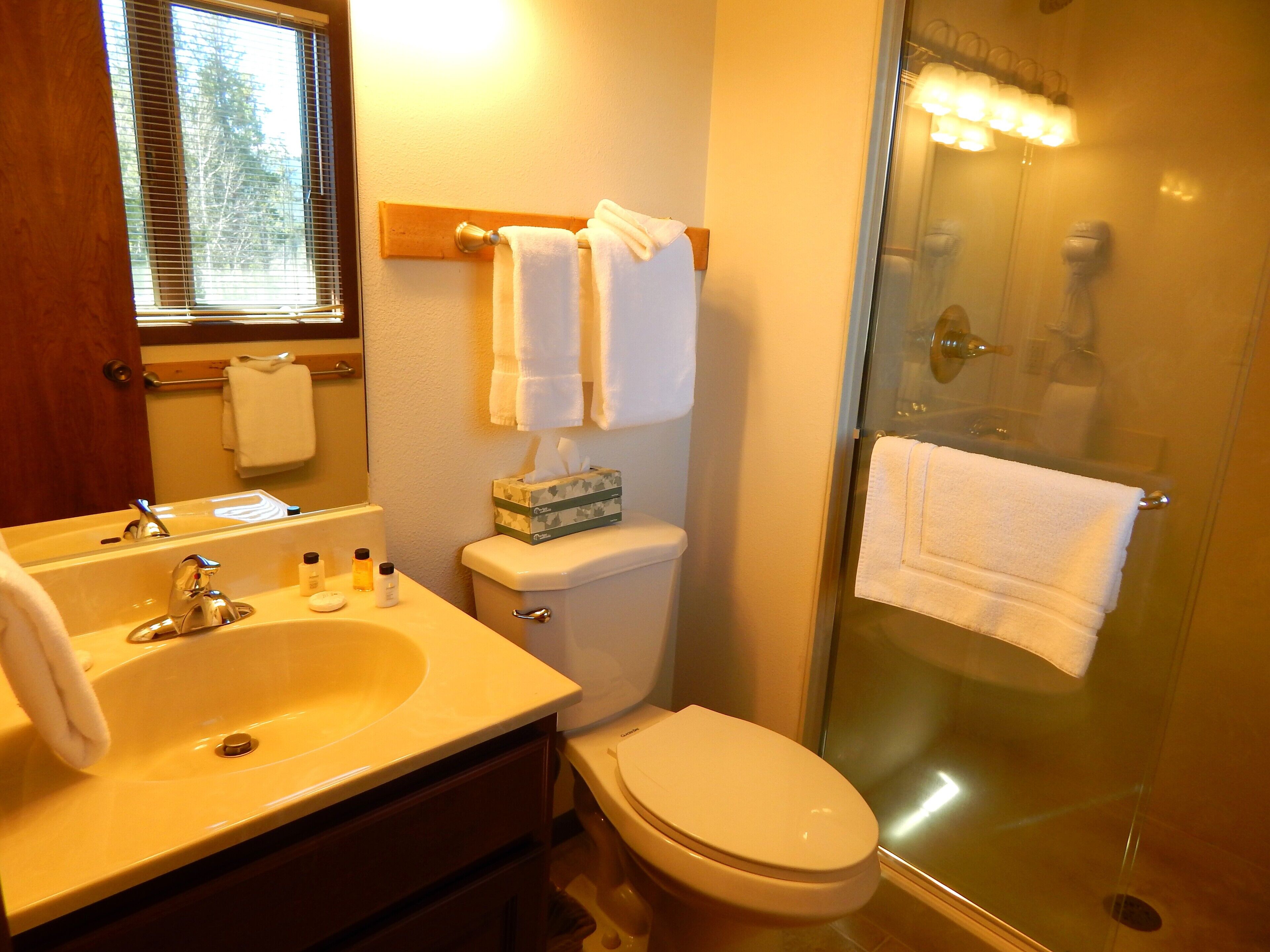 Hair dryer, towels, soap, shampoo