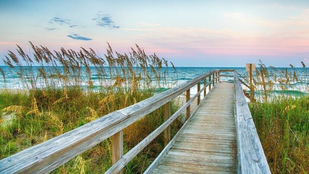 A wooden boardwalk leading to the beach with tall grasses and a clear sky.