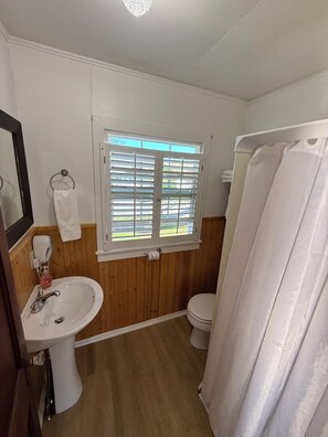 Ducha, secador de pelo y toallas