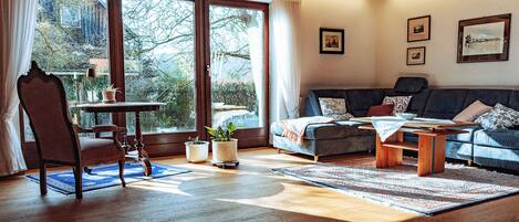 テレビ、暖炉、書庫