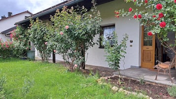 Dettaglio esterni