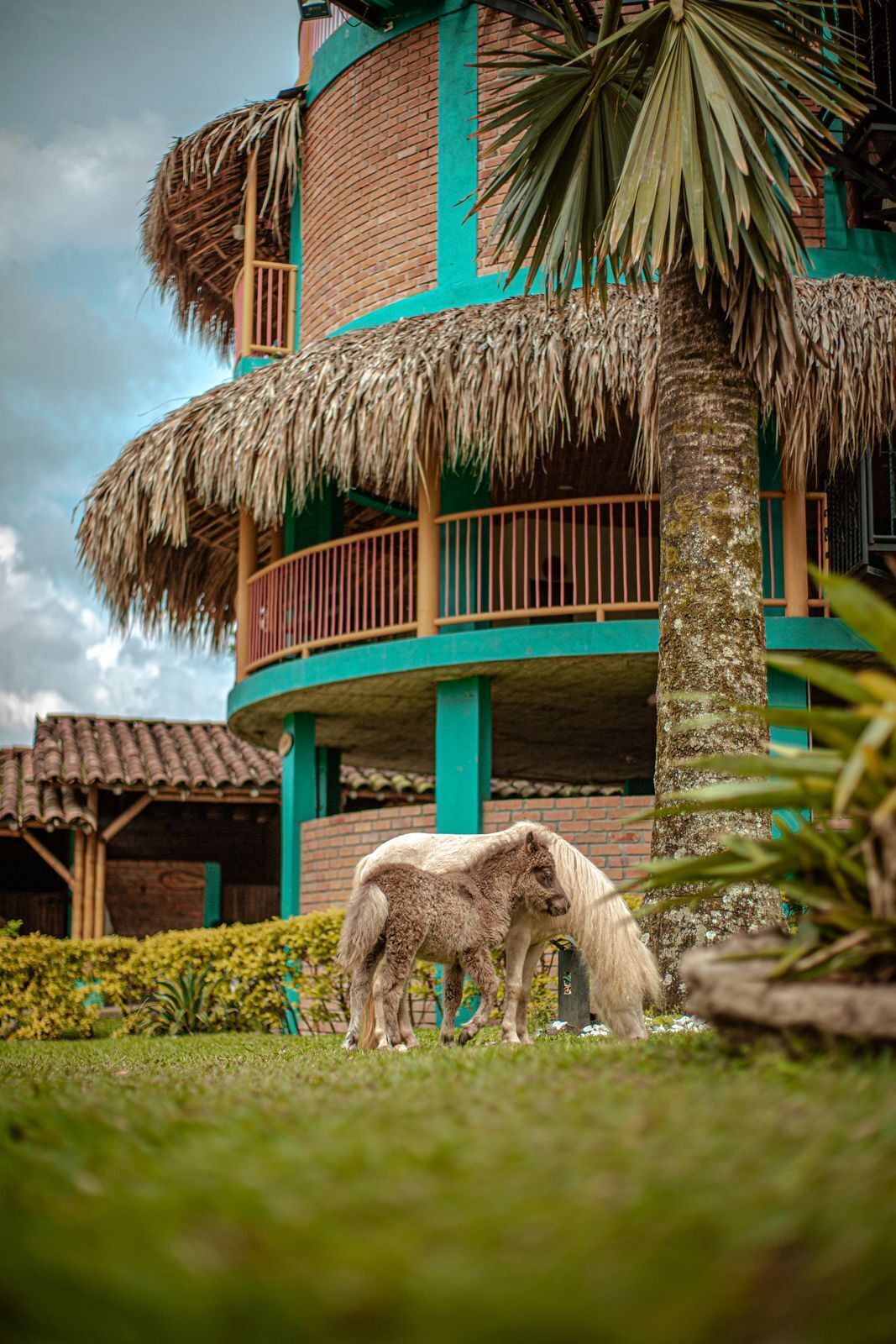 A building with a brick exterior and green accents, a thatched roof, and a balcony with a railing.