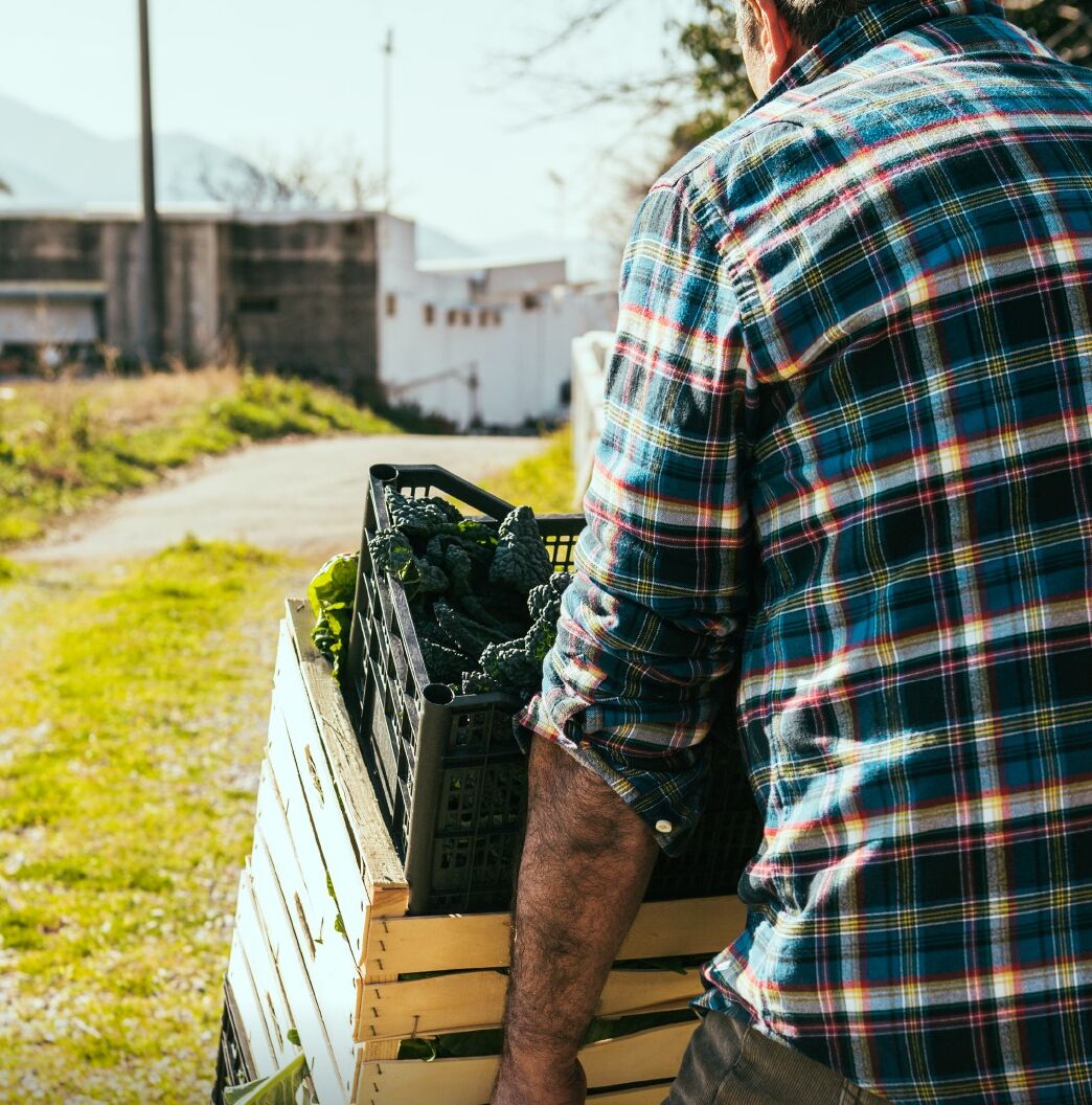 Un hombre con una camisa escocesa empujando un carrito con una caja de verduras.