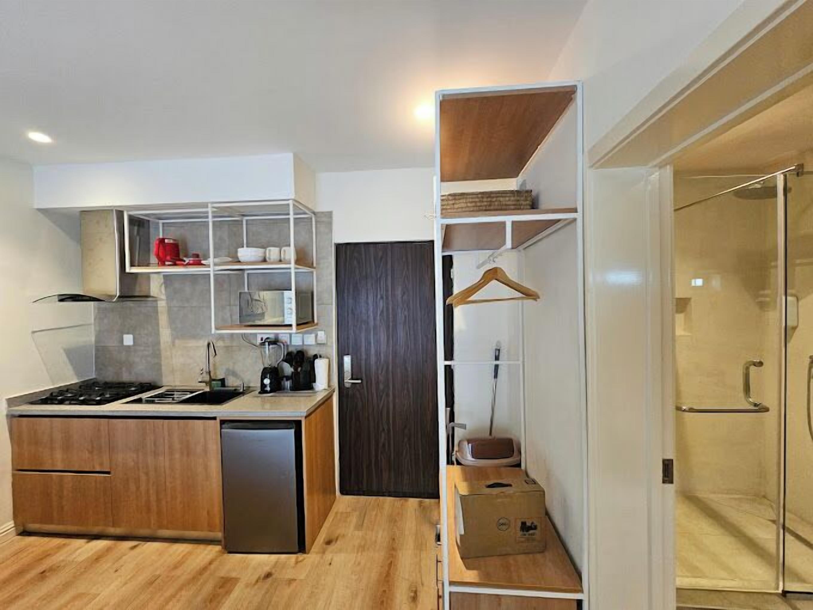 Deluxe Apartment, Balcony, City View | Private kitchen | Fridge, microwave, oven, stovetop