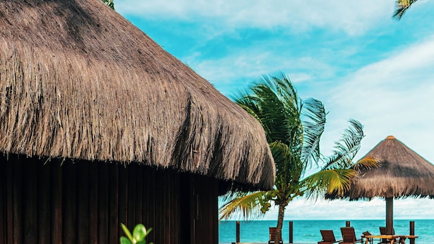 A beachside resort with thatched-roof huts, lounge chairs, and a clear view of the ocean.