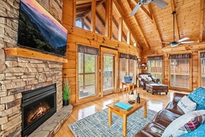 Smart TV, fireplace, books