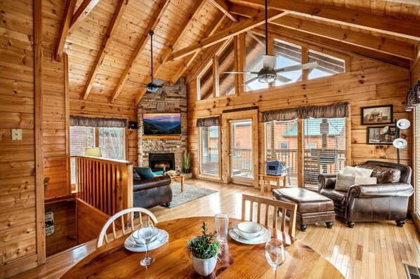 Smart TV, fireplace, books