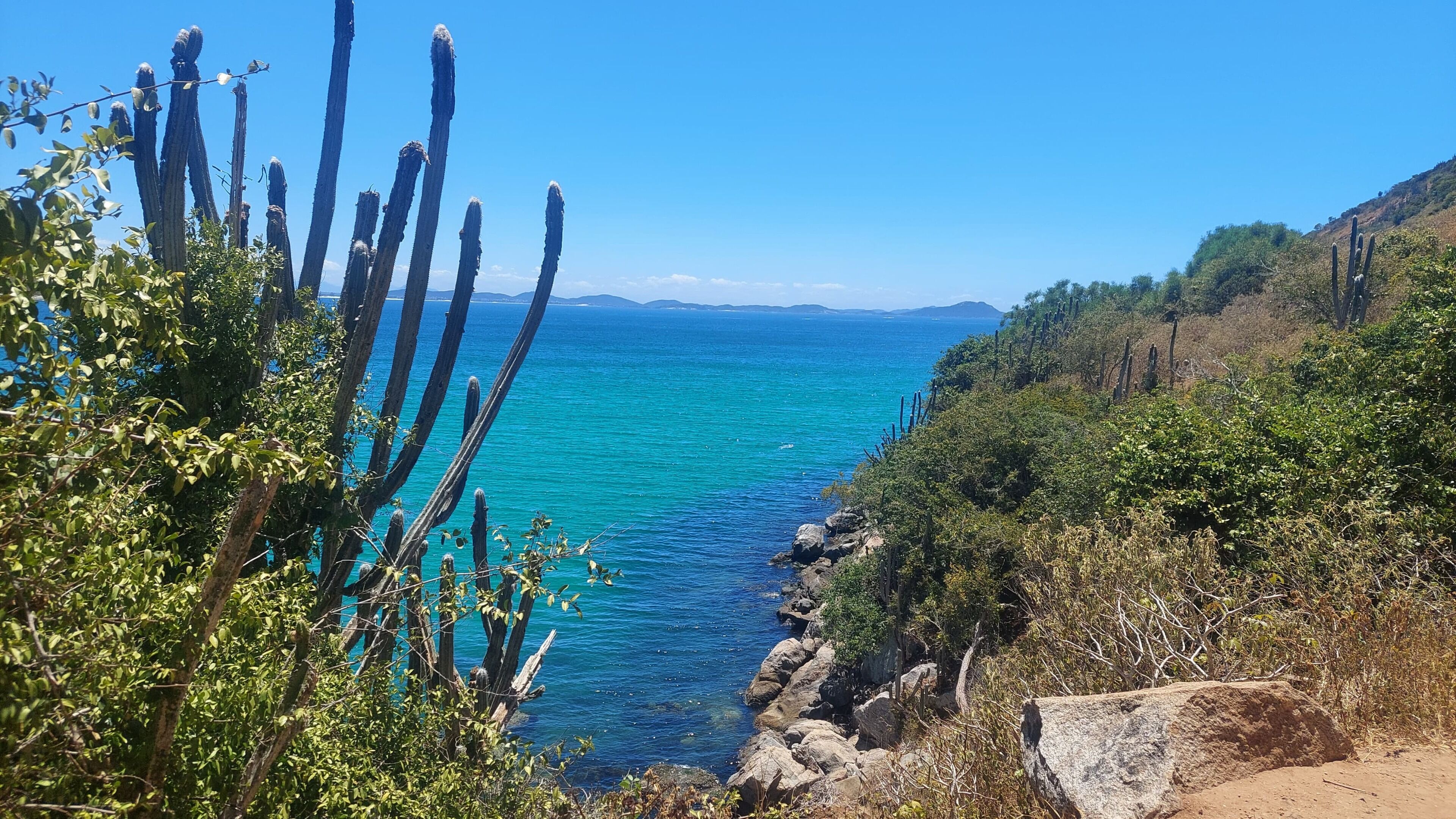 Paisaje costero con cactus y terreno rocoso.