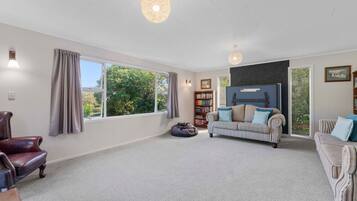 TV, fireplace, ping pong