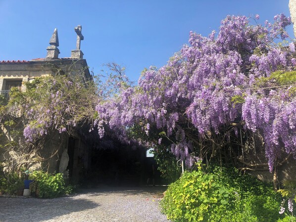 Property grounds - QUINTA DE RIBAS - LA CLEF DES CHAMPS - AUTHENTIC LITTLE HOUSE (Vila cha do marao, amarante)