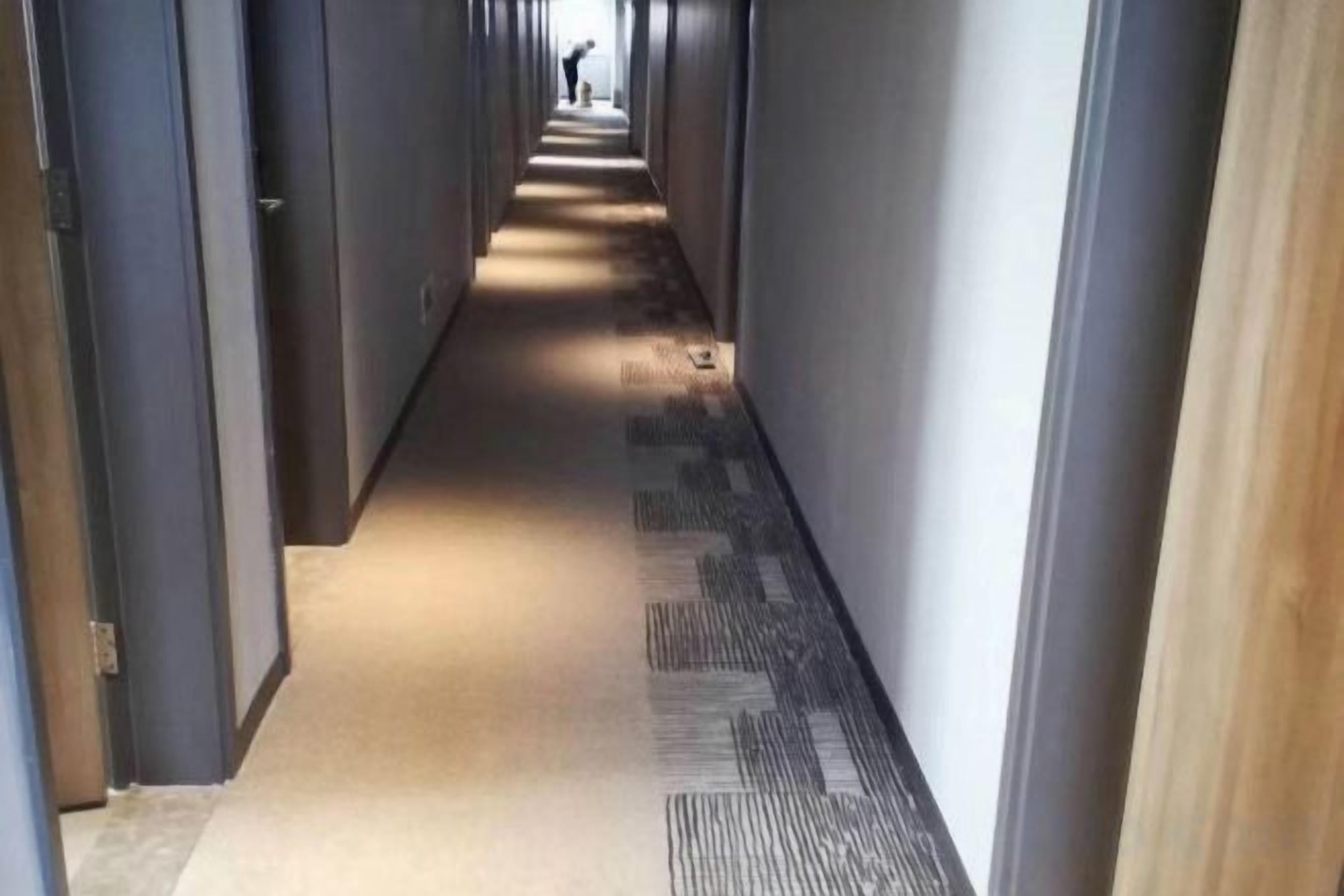 Un pasillo con piso alfombrado y puertas a ambos lados.