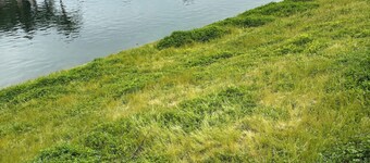 Lakeside Oasis \ Private 1 Bedroom 1 Bath near Yosemite
