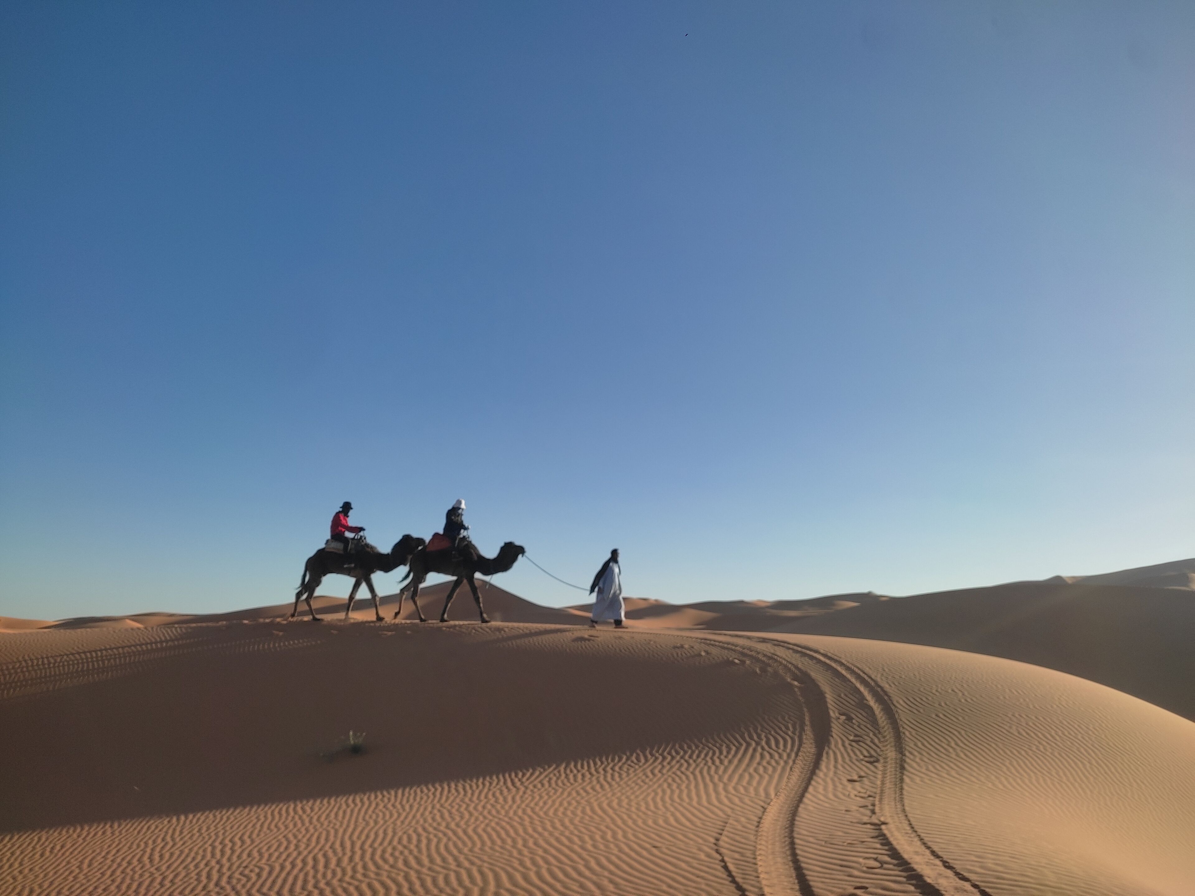 A desert landscape with sand dunes and three camels with riders.