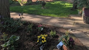 Un jardin avec un sentier, des arbres et un bâtiment à la façade en briques.