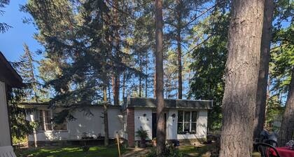 "Villa Luca"—a place to relax, even for dogs, in the middle of the forest—near the Klaistow Asparagus Farm