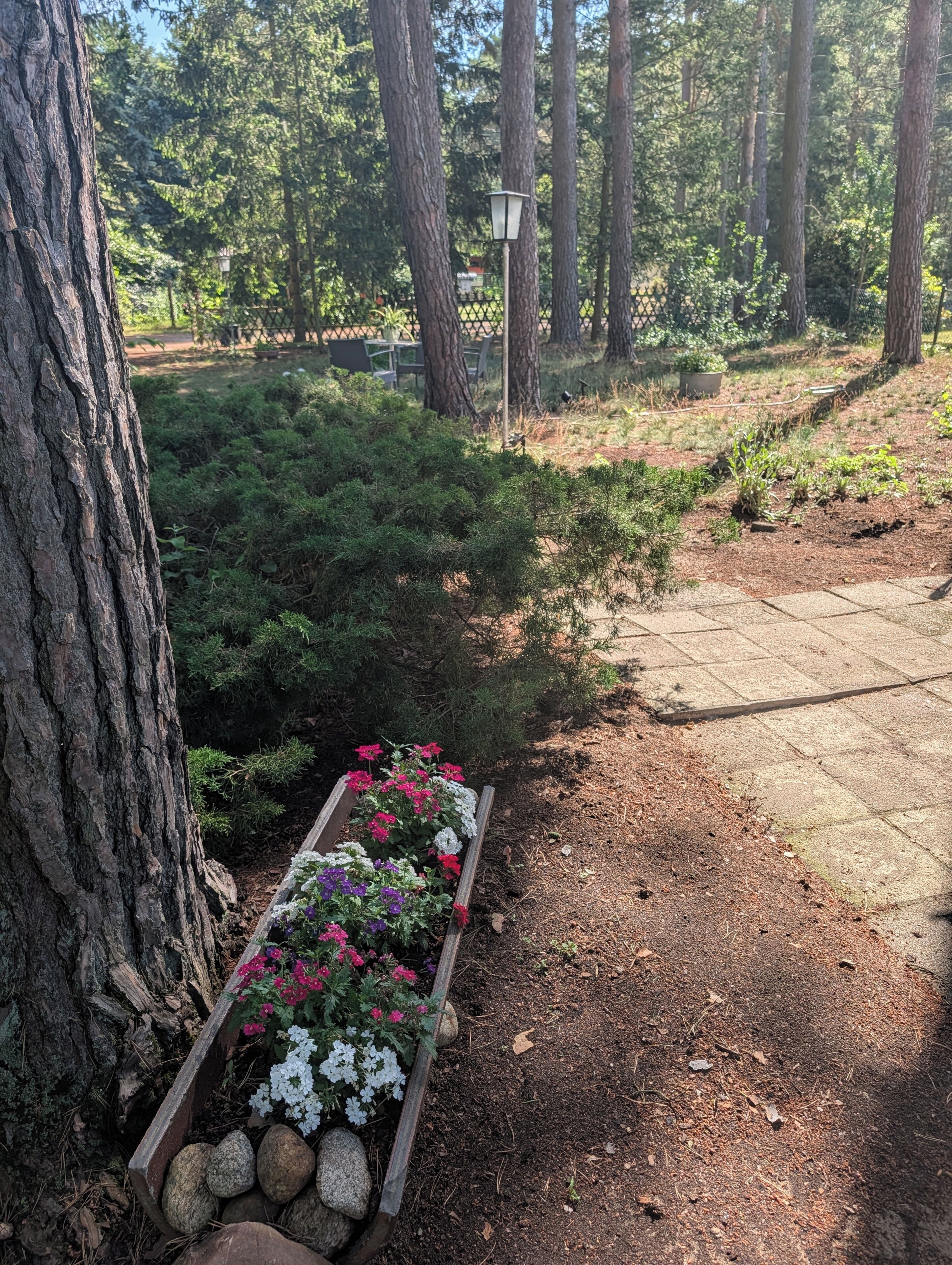 A garden with a wooden planter bed containing flowers, surrounded by trees and a paved path.