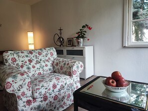 TV connectée, cheminée, livres