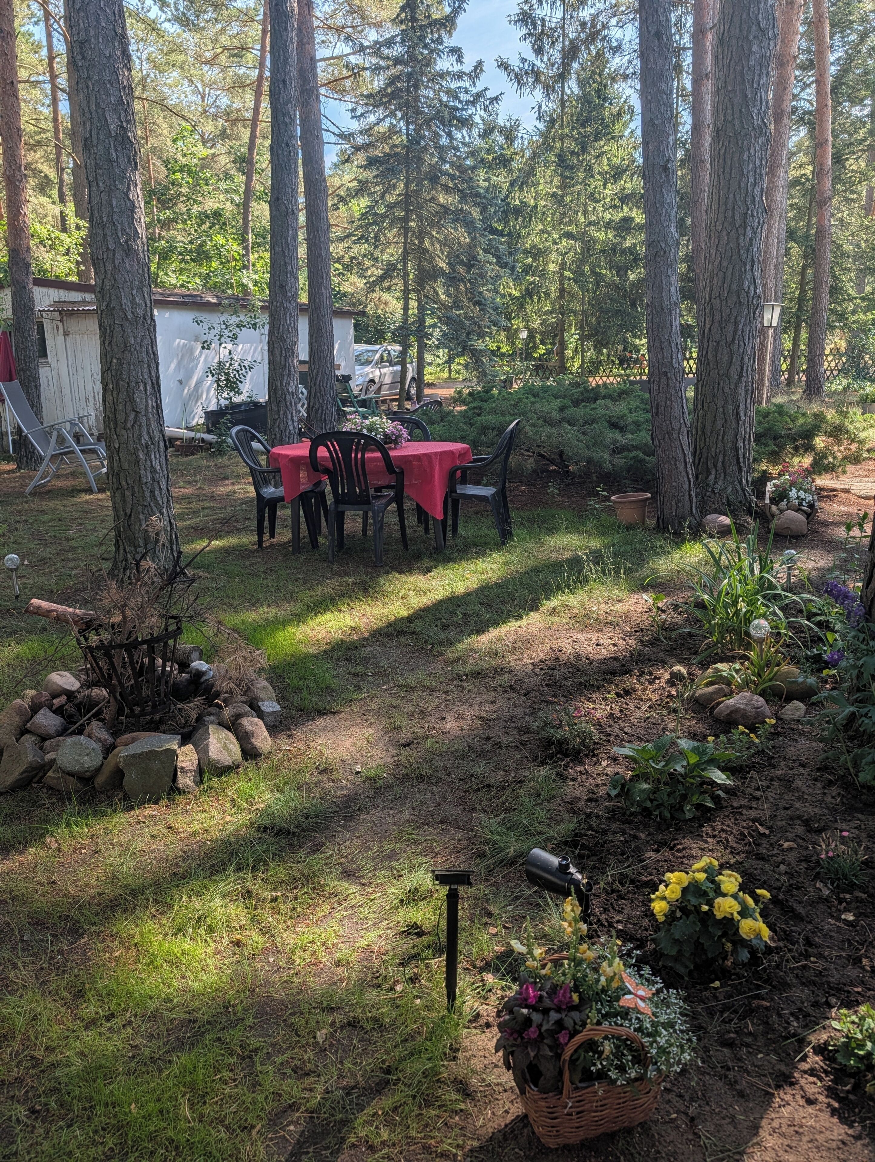 A backyard with a dining table and chairs, surrounded by trees and a garden.