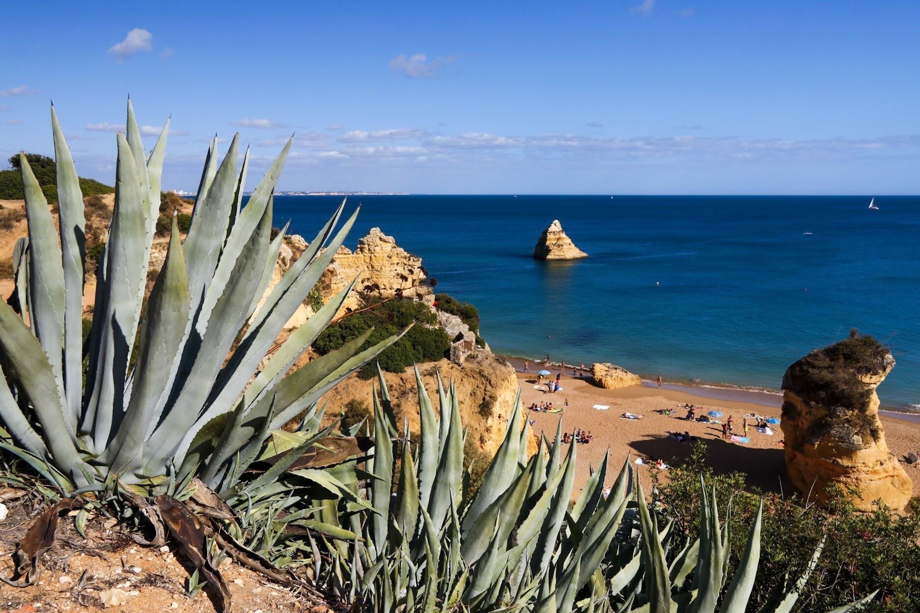 A coastal landscape with a beach, a rocky outcrop, and agave plants.