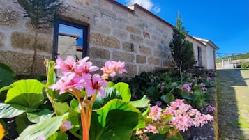 Detalle exterior