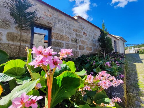 Quinta de Travancela | Lenha House | Tranquillity | Pool