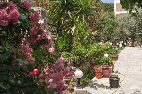 Garden view