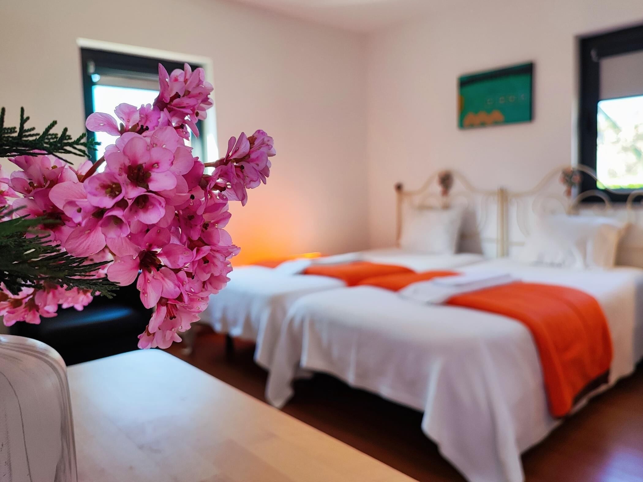 1 bedroom, Internet, bed sheets