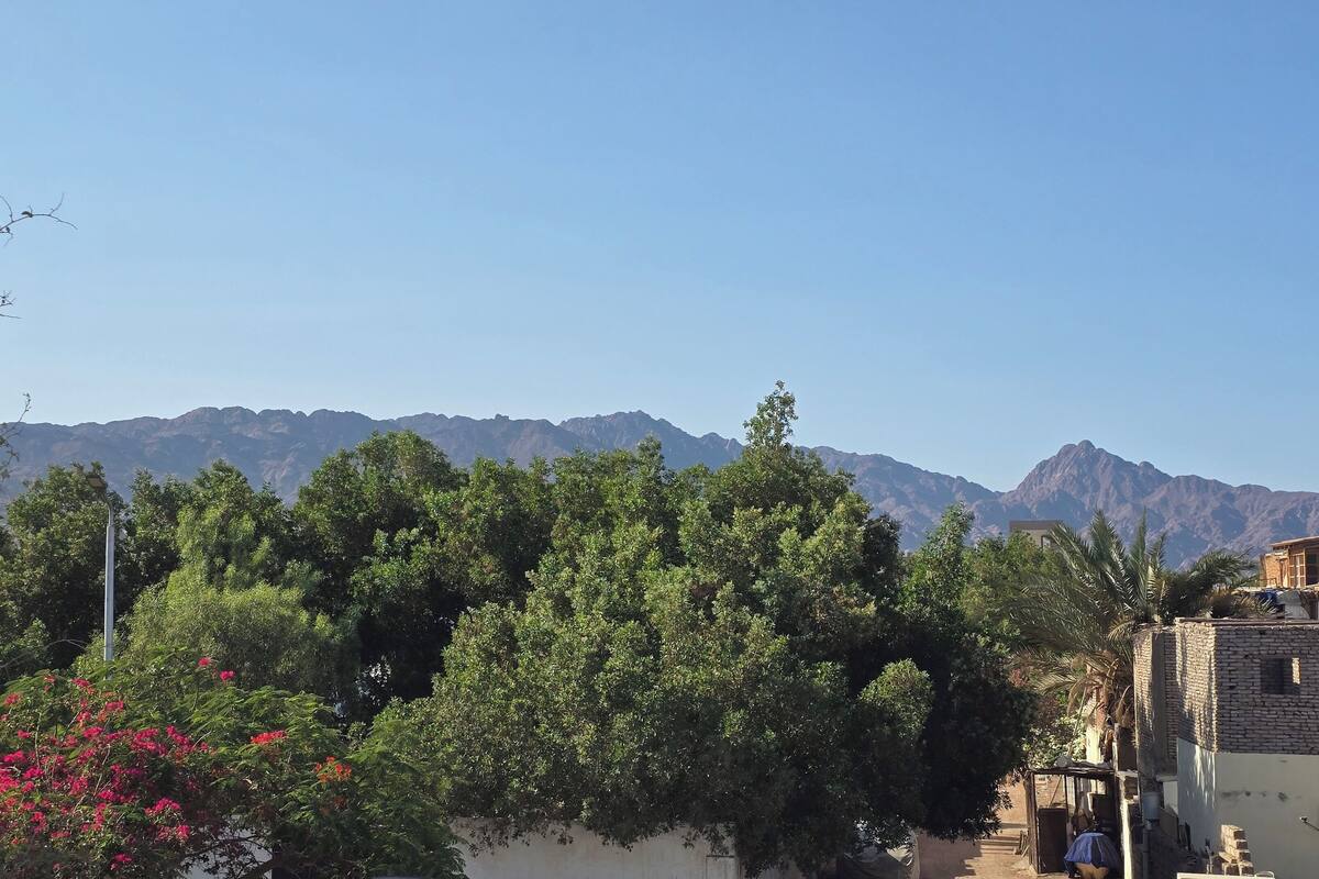 A residential area with a mountain range in the background, trees, and a few buildings.