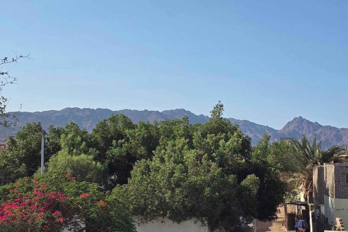 Comfort Apartment, 1 Bedroom, Mountain View | 1 bedroom, desk, laptop workspace, soundproofing