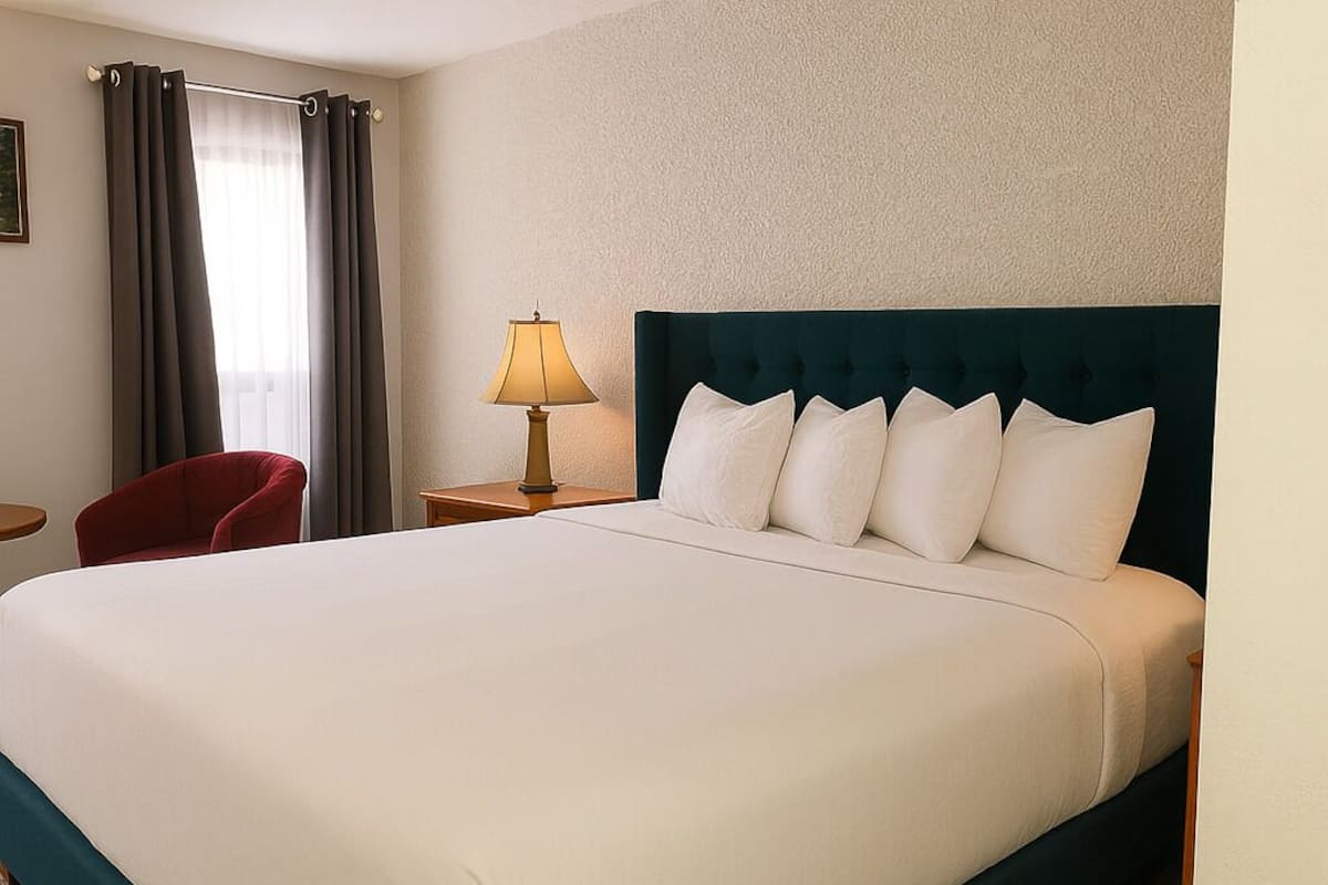 A hotel room with a large bed, a red chair, a lamp, and a view of the outdoors through curtains.