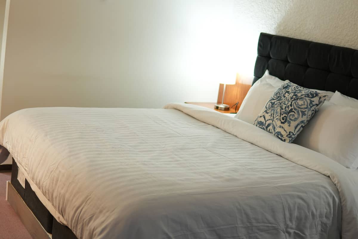 Habitación individual estándar, 1 cama de matrimonio grande, no fumadores | Escritorio, espacio para trabajar con un portátil, wifi gratis