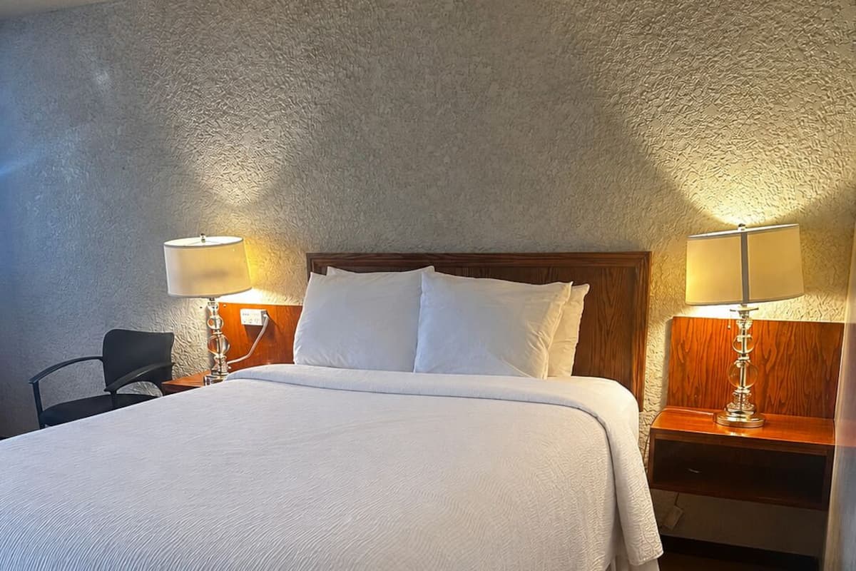 Standard Single Room, 1 Queen Bed, Non Smoking | Desk, laptop workspace, blackout drapes, iron/ironing board (on request)
