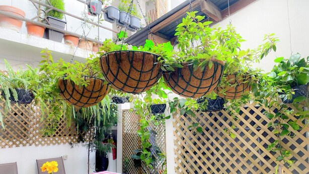 Un patio con una mesa a cuadros, macetas colgantes con plantas verdes y un muro de celosía.