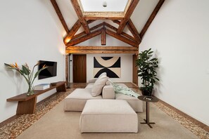 TV - Stylish Top Floor with Panoramic Terrace in Dorsoduro (Venecia)