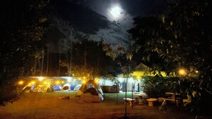 Een camping in de nacht, met tenten en een tafel onder een boom.