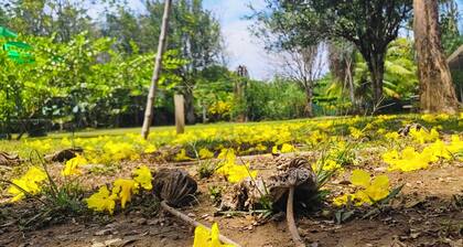 Camping, Glamping and Tour Operator Zompopas Trail Costa Rica.