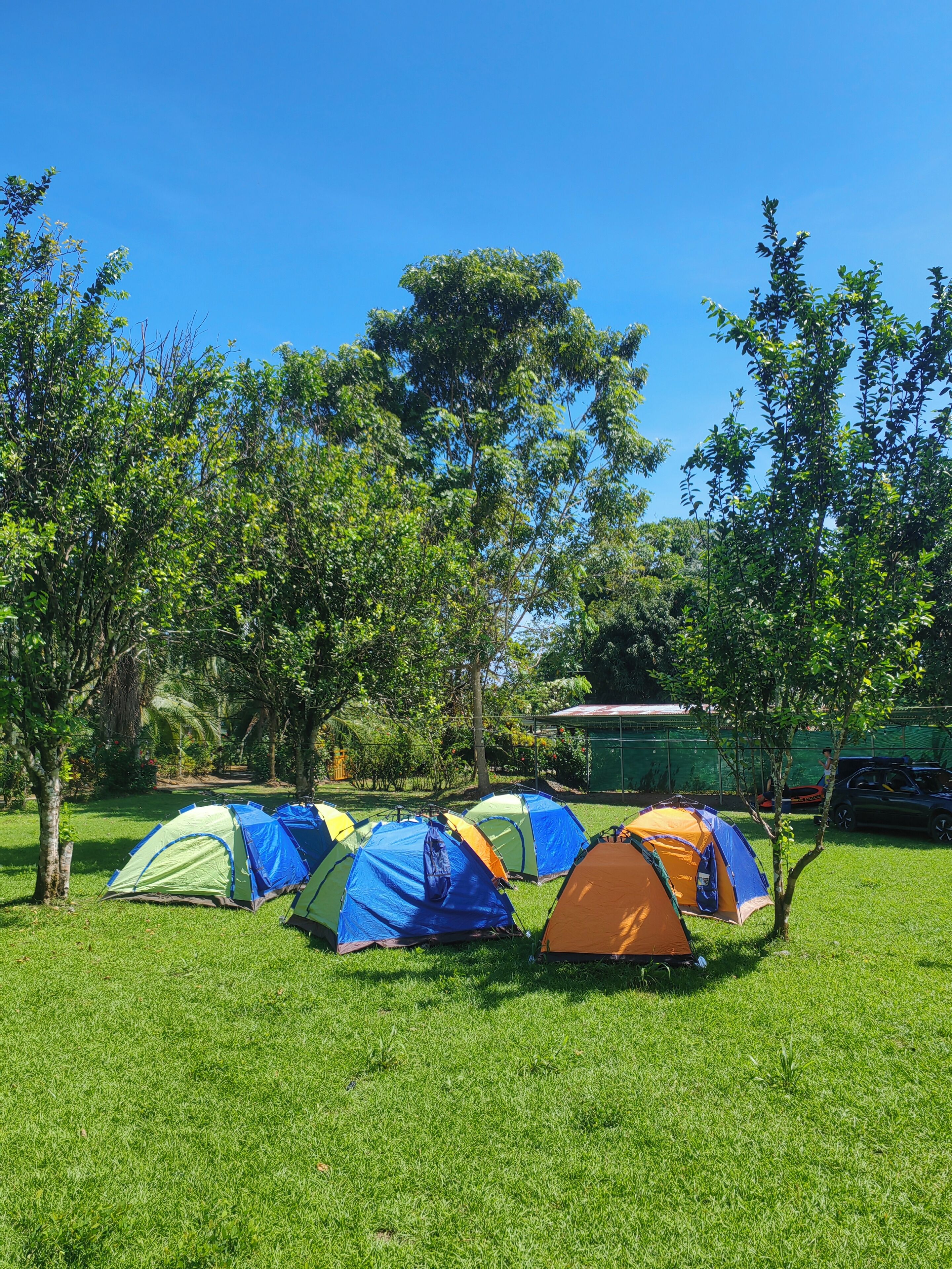 A grassy area with several tents set up, surrounded by trees and a building in the background.