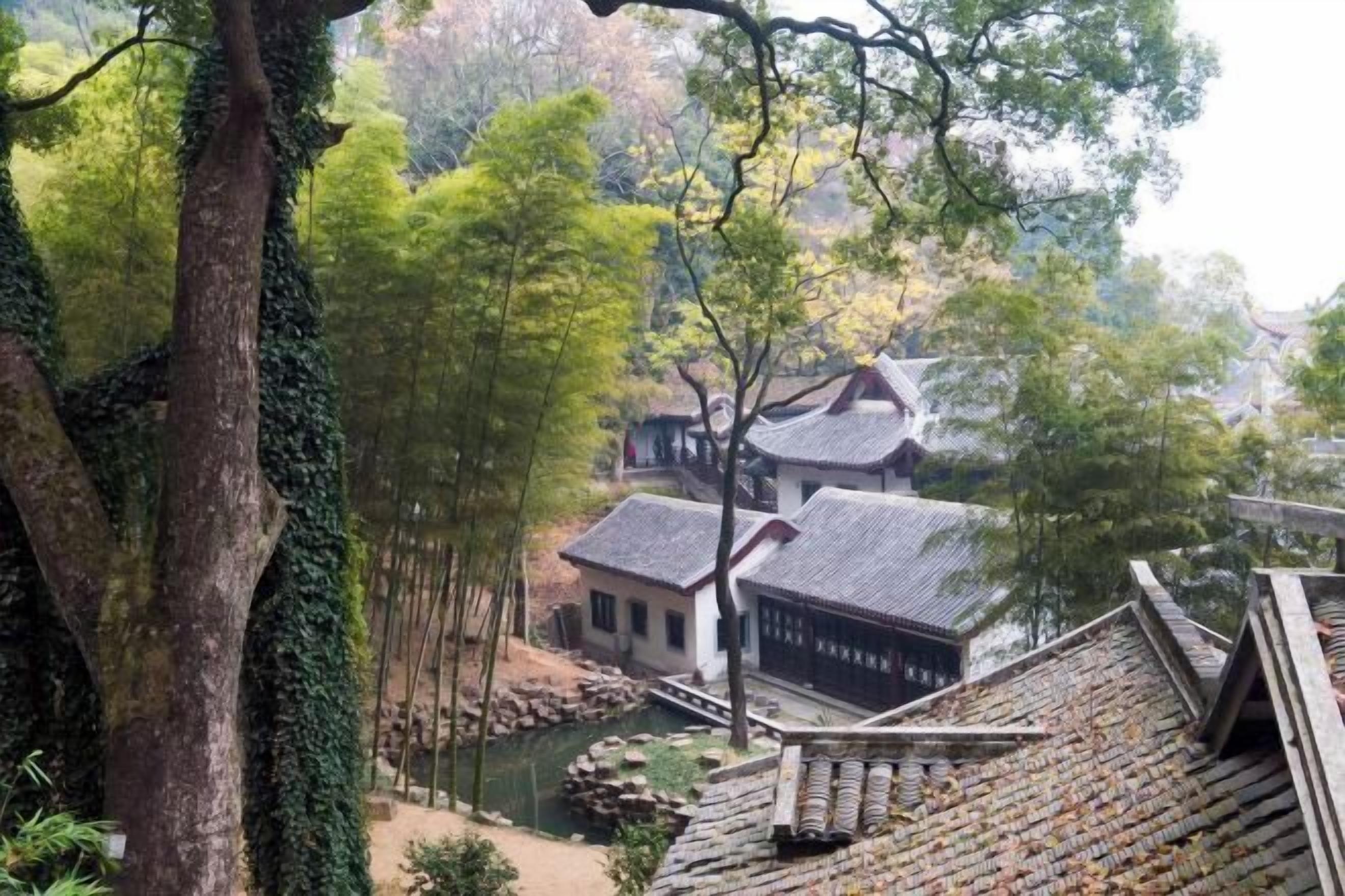 Vista desde la propiedad