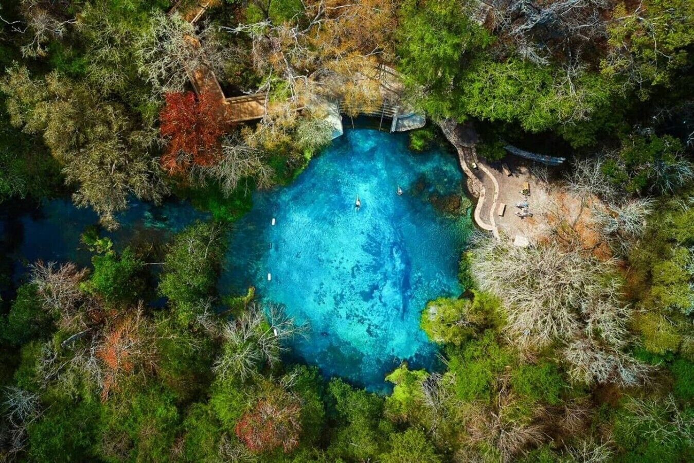 Vista aérea de una piscina natural rodeada de un bosque tupido.