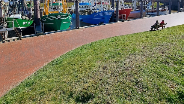 A marina with several fishing boats docked, a grassy area, and a paved walkway. - A millside dream, stylish, right next to the historic mill, not far from the harbor... (Ditzum)