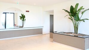 A modern reception area with a large mirror, a reception desk, and a planter with large green leaves.