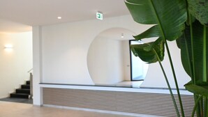 A modern interior with a staircase, a circular wall feature, and a large plant.