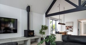 Télévision, cheminée