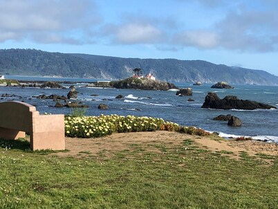 Pacific Dream-512-walking distance to beach!