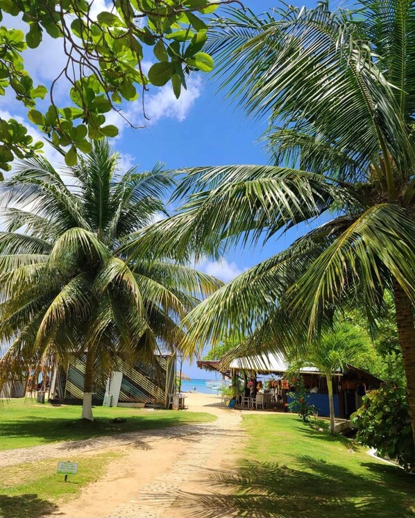 Terrein van de accommodatie